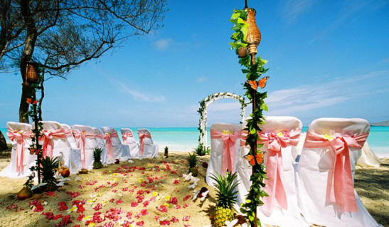 al-fresco-Hawaii-wedding