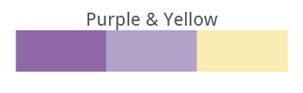 Purple  & Yellow