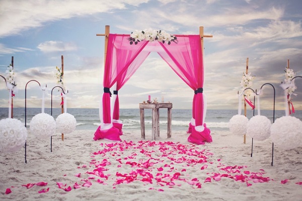 beach wedding  party-123weddingcards