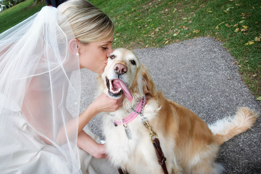 dog-at-wedding