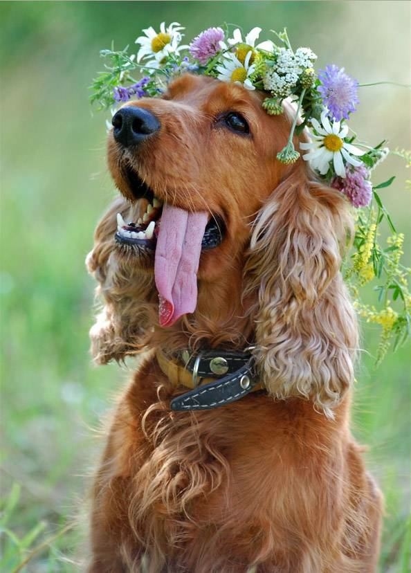 floral makeup in wedding 