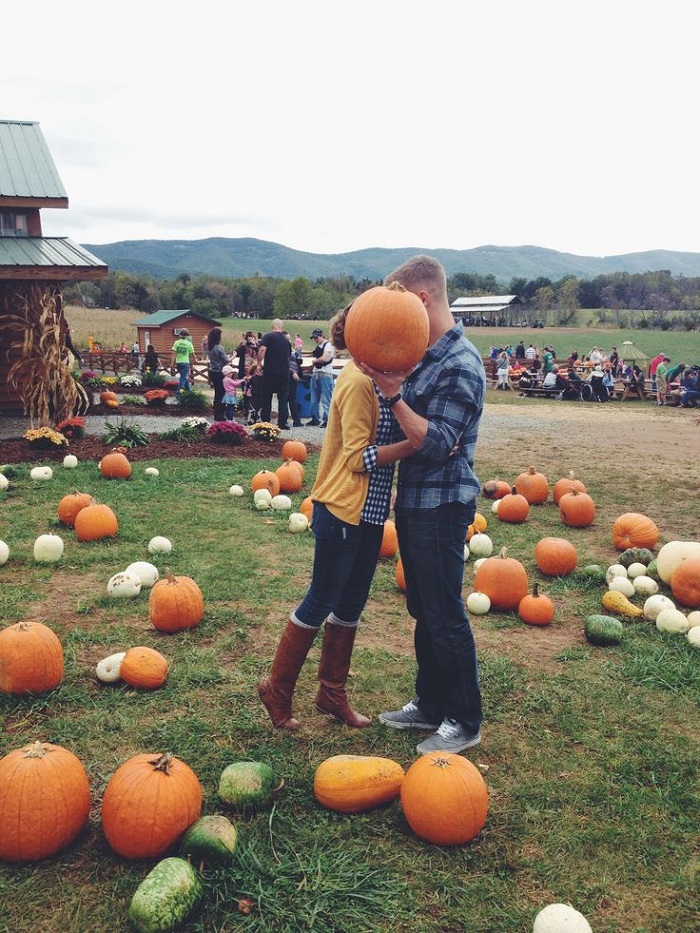 pumpkin patch