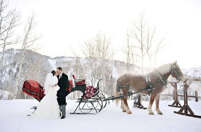 Sleigh Ride for the Groom &hisBride -123WeddingCards