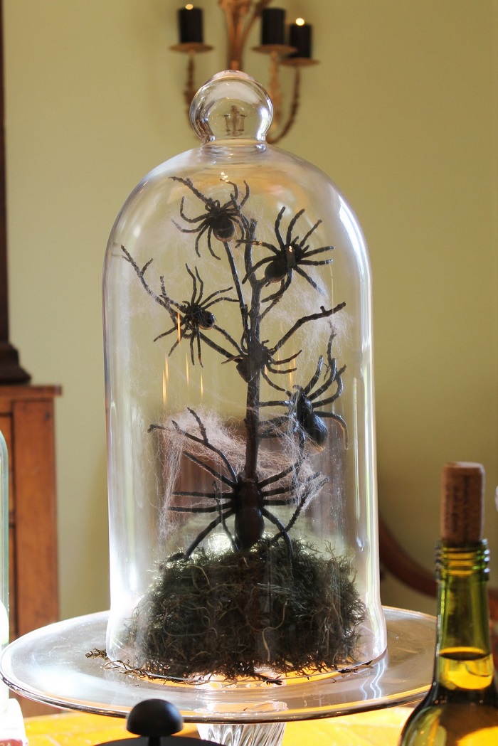 Freaky Terrarium