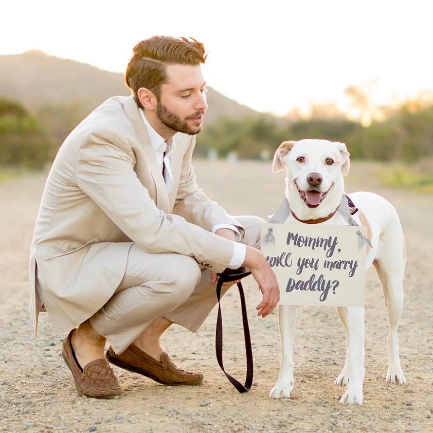 Include pets in the proposal - 123WeddingCards